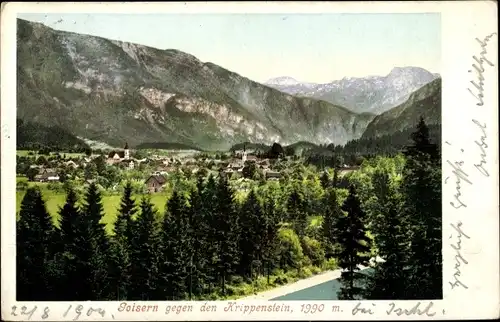 Ak Bad Goisern am Hallstättersee in Oberösterreich, schöne Detailansicht