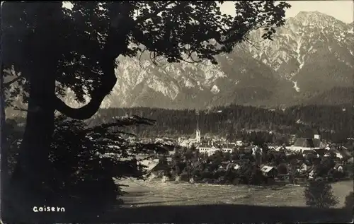 Ak Bad Goisern am Hallstättersee in Oberösterreich, schöne Detailansicht