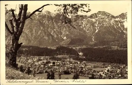 Ak Bad Goisern am Hallstättersee in Oberösterreich, schöne Detailansicht