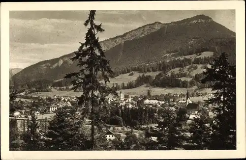 Ak Bad Goisern am Hallstättersee in Oberösterreich, schöne Detailansicht