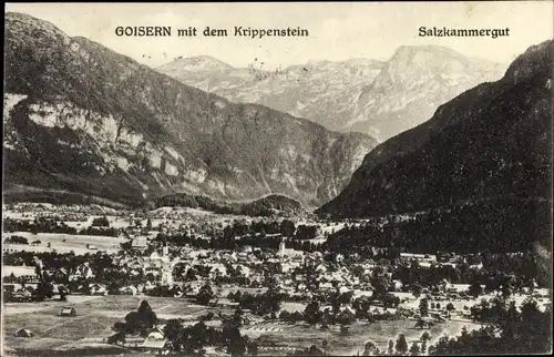 Ak Bad Goisern am Hallstättersee in Oberösterreich, schöne Detailansicht