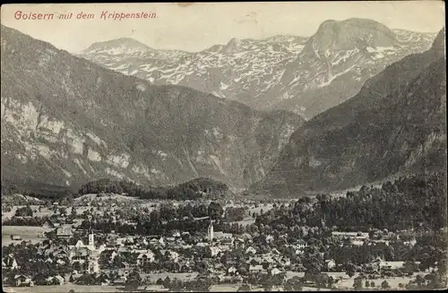 Ak Bad Goisern am Hallstättersee in Oberösterreich, schöne Detailansicht