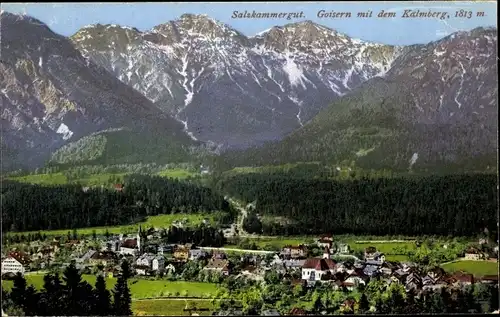 Ak Bad Goisern am Hallstättersee in Oberösterreich, schöne Detailansicht