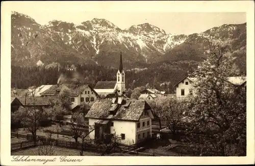 Ak Bad Goisern am Hallstättersee in Oberösterreich, schöne Detailansicht