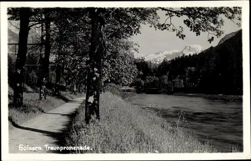 Ak Bad Goisern am Hallstättersee in Oberösterreich, schöne Detailansicht