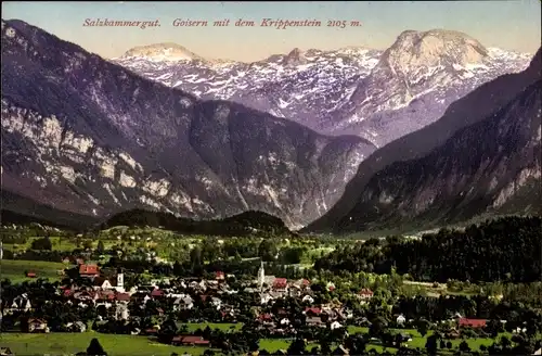 Ak Bad Goisern am Hallstättersee in Oberösterreich, schöne Detailansicht