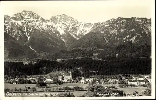 Ak Bad Goisern am Hallstättersee in Oberösterreich, schöne Detailansicht