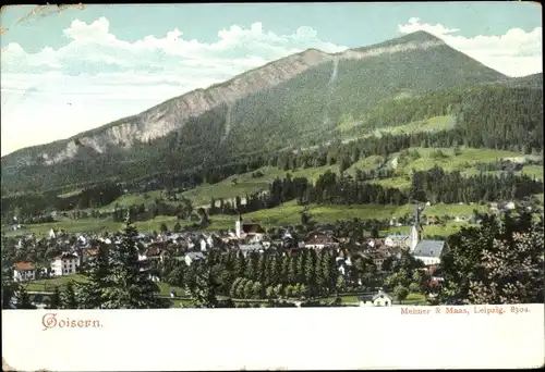 Ak Bad Goisern am Hallstättersee in Oberösterreich, schöne Detailansicht