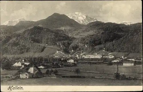 Ak Hallein Tennengau in Salzburg, schöne Detailansicht