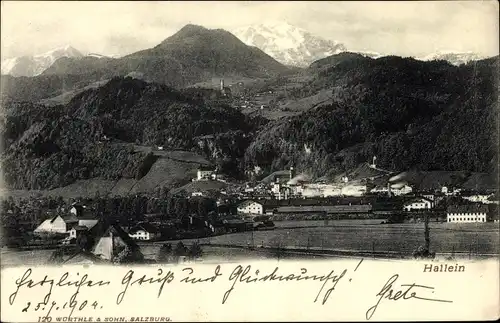 Ak Hallein Tennengau in Salzburg, schöne Detailansicht