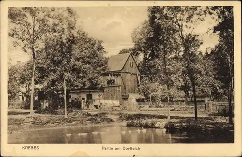 Ak Krebes Weischlitz im Vogtland, Partie am Dorfteich