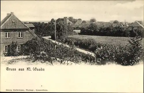 Ak Klein Waabs in Schleswig Holstein, Panorama vom Ort