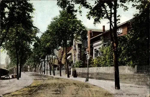 Ak Eckernförde in Schleswig Holstein, Vogelsang, Straßenpartie