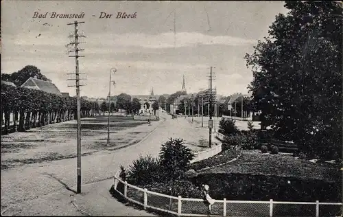 Ak Bad Bramstedt in Schleswig Holstein, Der Bleeck, Straßenpartie, Gartenanlage