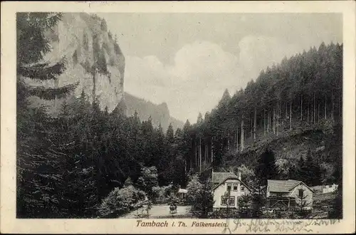 Ak Tambach Dietharz im Thüringer Wald, Partie am Falkenstein, Häuser, Wald