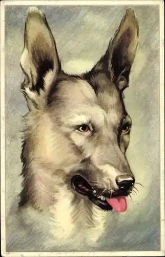 Künstler Ak Hundeportrait, Schäferhund mit heraushängender Zunge