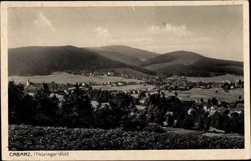 Ak Tabarz in Thüringen, schöne Detailansicht