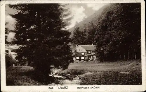Ak Tabarz in Thüringen, schöne Detailansicht