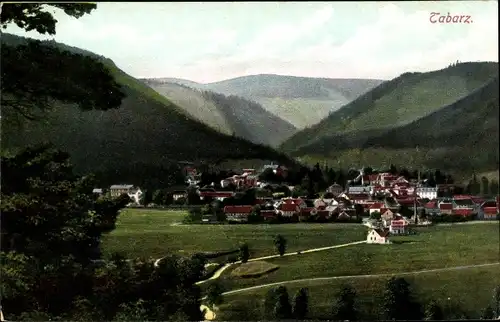 Ak Tabarz in Thüringen, schöne Detailansicht