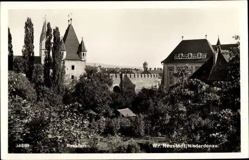 Ak Wiener Neustadt in Niederösterreich, schöne Detailansicht