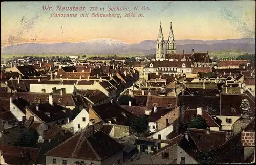 Ak Wiener Neustadt in Niederösterreich, schöne Detailansicht