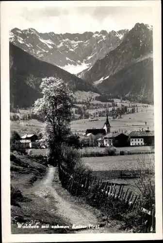 Ak Walchsee in Tirol, schöne Detailansicht