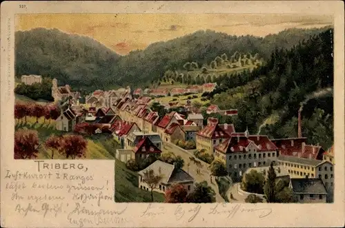 Litho Triberg im Schwarzwald, Talblick über die Dächer der Stadt, Straßenpartie