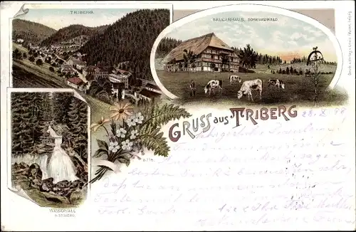 Litho Triberg im Schwarzwald, Gesamtansicht, Wasserfall, Schwarzwälder Bauernhaus, Kühe