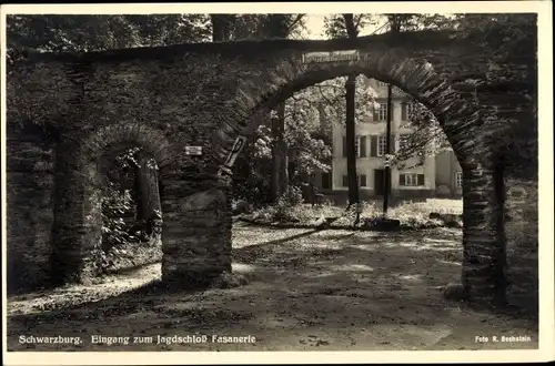 Ak Schwarzburg in Thüringen, schöne Detailansicht