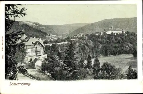 Ak Schwarzburg in Thüringen, schöne Detailansicht