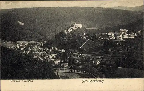 Ak Schwarzburg in Thüringen, schöne Detailansicht