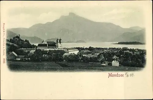 Ak Mondsee Salzkammergut in Oberösterreich, schöne Detailansicht