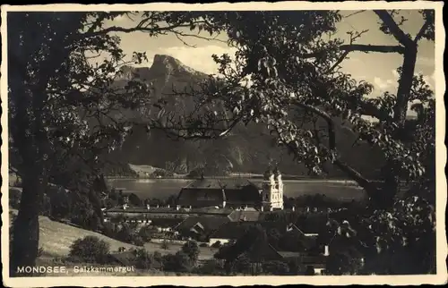 Ak Mondsee Salzkammergut in Oberösterreich, schöne Detailansicht