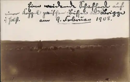 Foto Ak Bissee in Schleswig Holstein, Hirte mit seiner Schafherde