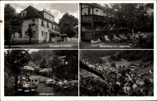 Ak Rohrbach in Thüringen, Gasthaus Auerhahn, Gartenhaus mit Liegewiese, Kaffeegarten