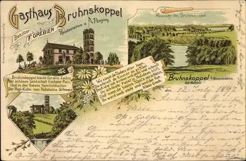 Litho Bruhnskoppel Malente in Ostholstein, Gasthaus und Pension von F. Grebien, Landschaftspanorama