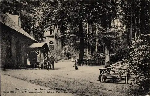 Ak Schönwalde am Bungsberg in Ostholstein, Forsthaus mit Elisabethturm