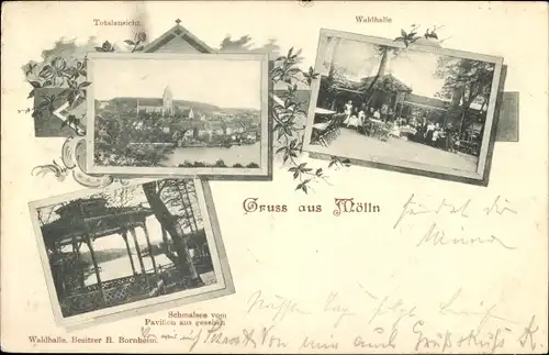 Ak Mölln in Schleswig Holstein, Waldhalle, Bes. H. Bornheim, Schmalsee vom Pavillon aus gesehen