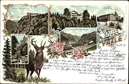 Litho Thale im Harz, Hotel zur Rosstrappe, Hotel Zehnpfund, Teufelsbrücke, Hexentanzplatz, Hirsch