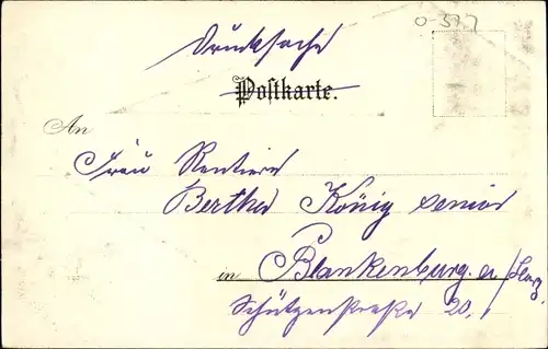 Litho Alexisbad Harzgerode in Sachsen Anhalt, Straßenpartie mit Kutsche, Gebäude