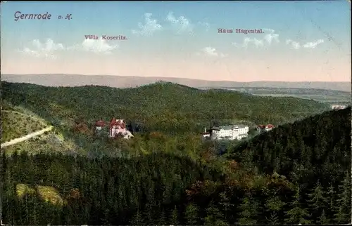 Ak Gernrode Quedlinburg am Harz, schöne Detailansicht