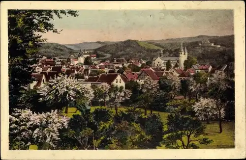 Ak Gernrode Quedlinburg am Harz, schöne Detailansicht