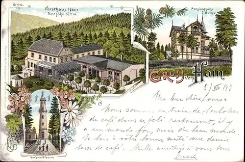 Litho Hain Oybin in Sachsen, Forsthaus, Hochwaldturm, Pensionshaus Hütter