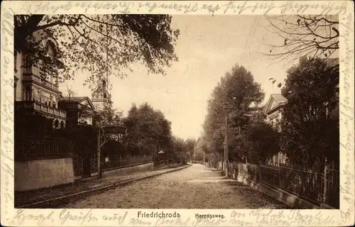 Ak Friedrichroda im Thüringer Wald, Partie am Herzogsweg, Pension