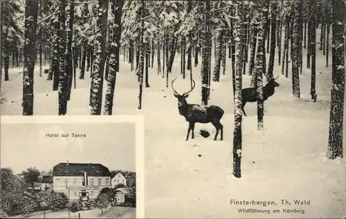 Ak Finsterbergen Friedrichroda Thüringen, Hotel zur Tanne, Wildfütterung am Körnberg