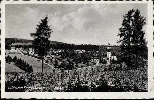 Ak Tannenbergsthal Muldenhammer im Vogtland, Siedlung, Panorama vom Ort