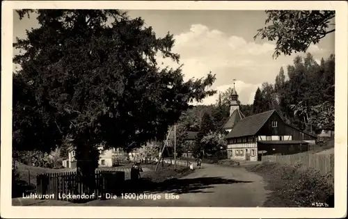 Ak Lückendorf Oybin in Sachsen, Die 1500 jährige Eibe, Straßenpartie im Ort