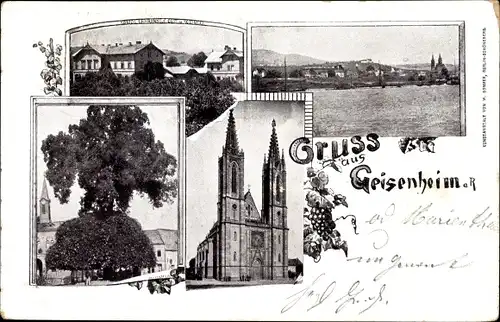Ak Geisenheim am Rhein Hessen, Teilansichten, Kirche, Lehranstalt für Obst- und Weinbau