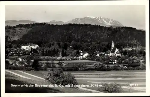 Ak Seebenstein in Niederösterreich, schöne Detailansicht