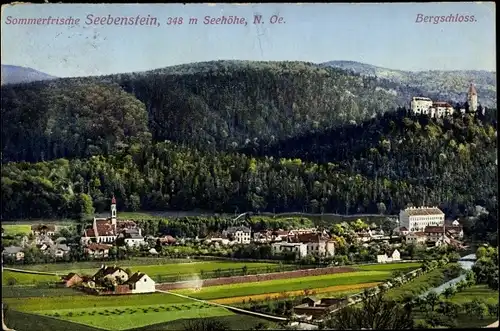 Ak Seebenstein in Niederösterreich, schöne Detailansicht